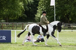 E31_2672 2026