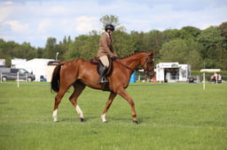 W36_2491 2026