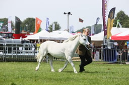 E34_1454 2026