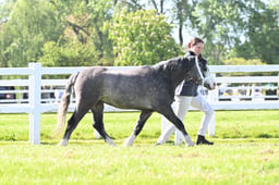 S19_7273 2026