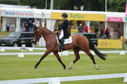 111 OPALUS B