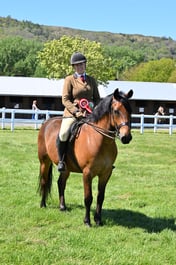 55 M&M Open Ridden Connemara & NF