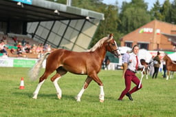 H69_1484 2026