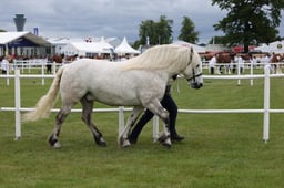 M44_0798 2026