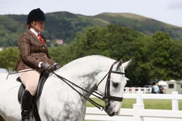 H202 HOYS Maxi Cobs