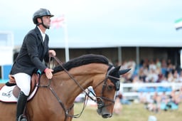 C49_7446 2026