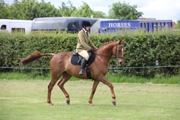 42 Tattersalls Amateur Ridden