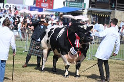 K68_7245 2026