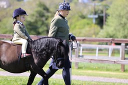 78 M&M Novice Lead Rein Winter