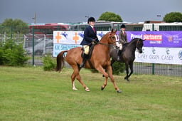 A45_0583 2026
