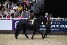 M&M Lead Rein Pony of the Year