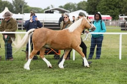E29_0344 2026