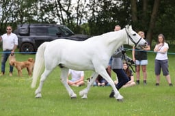 J36_6599 2026