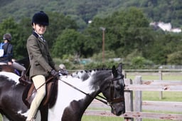 H247 SFAS Pony Club Pony