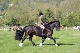 C19_0449 2026