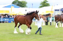 F44_0390 2026