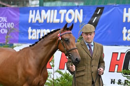 534 Part Bred Youngstock