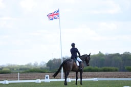 175 TREMADON