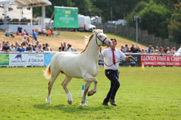 E69_1030 2026