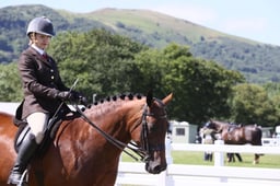 H104 HOYS Small Hunters