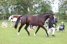 J36_6911 2026