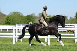 H19_0416 2026