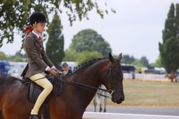 106C Show Hunter Pony 143cm