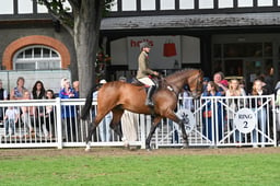 17-13 WH Horses Championships