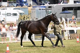 N68_6160 2026