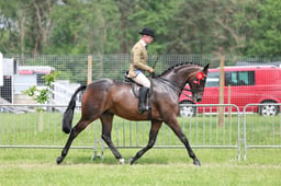 37-36  HOYS Riding Horse Championship