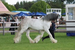 S28_9430 2026