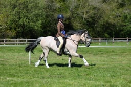 M19_0515 2026