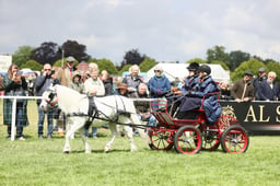 E29_1589 2026