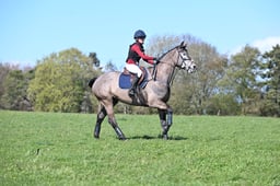 134 Nantgarreg Star Quality