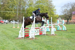 283 KENOBE STAR