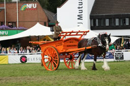 Shire Horse Agricutural Vehicle