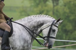 Ridden Hunter Heavyweight
