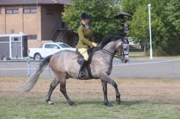 E66_4059 2026