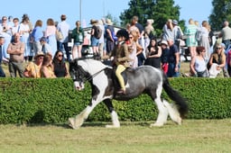 S61_0569 2026