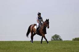 114 BY GEORGE