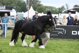 E31_1042 2026