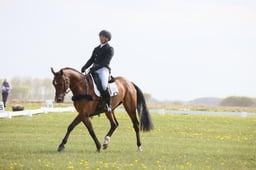 B15_0640 2026