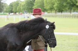 E31_0790 2026
