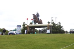 D39_3196 2026