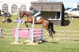 613 ETANN DU LYVET