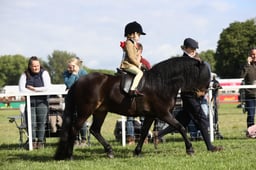 E30_0172 2026