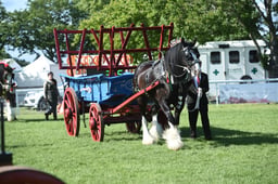 D42_3415 2026