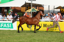 E69_0788 2026