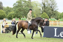 E30_4020 2026