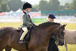Show Hunter Pony Ridden